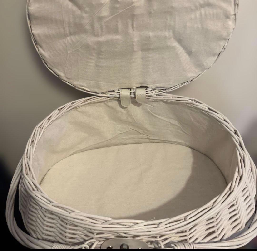 犬 猫 ホワイトバスケット 蓋付き 服