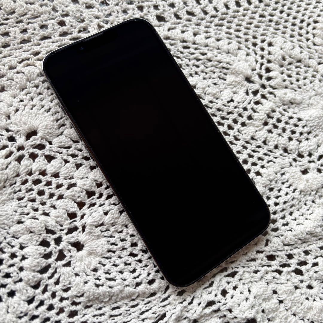 Apple iPhone 13 Pro 充電ケーブル付き【値下げしました】