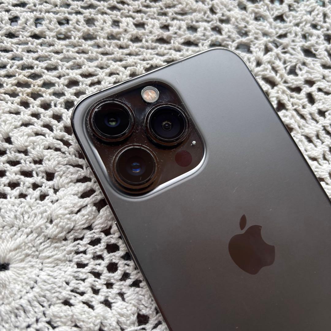 Apple iPhone 13 Pro 充電ケーブル付き【値下げしました】