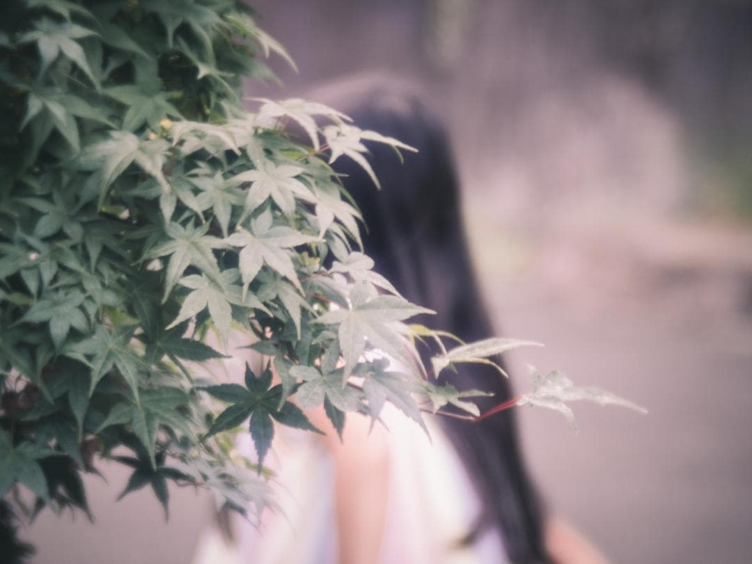 ズノーの中望遠！ZUNOW Cine 38mm F1.1 オールドレンズ