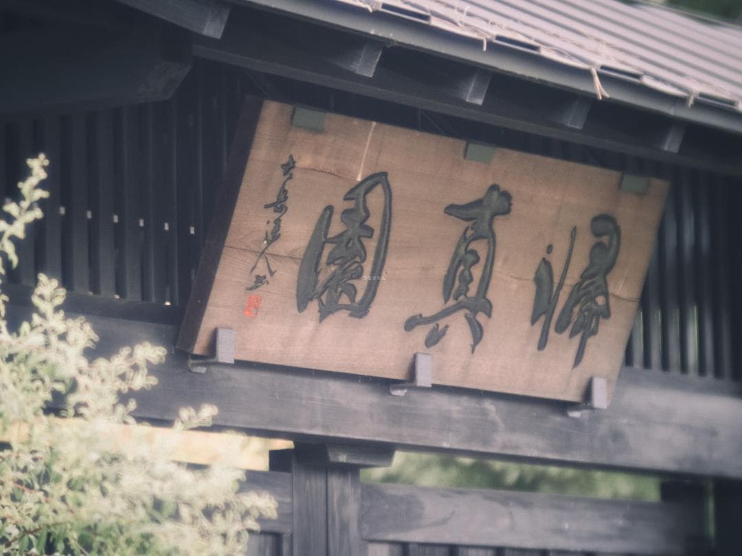 ズノーの中望遠！ZUNOW Cine 38mm F1.1 オールドレンズ