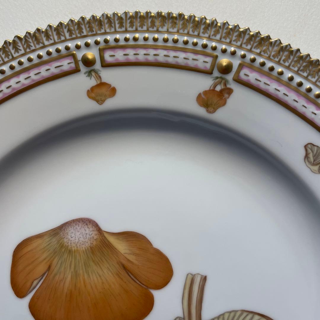 ロイヤルコペンハーゲン　フローラダニカ　大皿25.5cm 新品未使用キノコ柄貴重