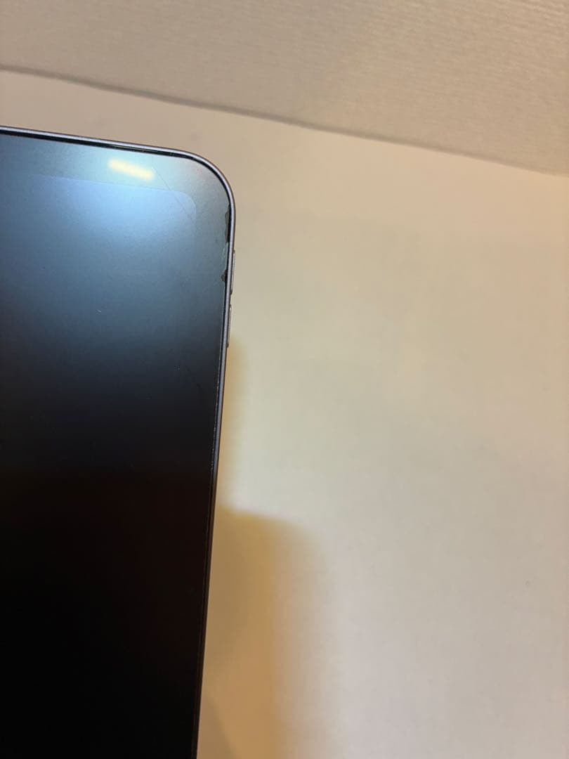 iPadPro11インチ第２世代256GB Wi-Fiモデル 最大容量84％