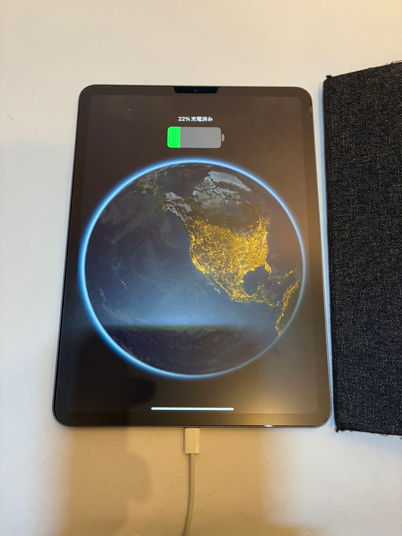 iPadPro11インチ第２世代256GB Wi-Fiモデル 最大容量84％