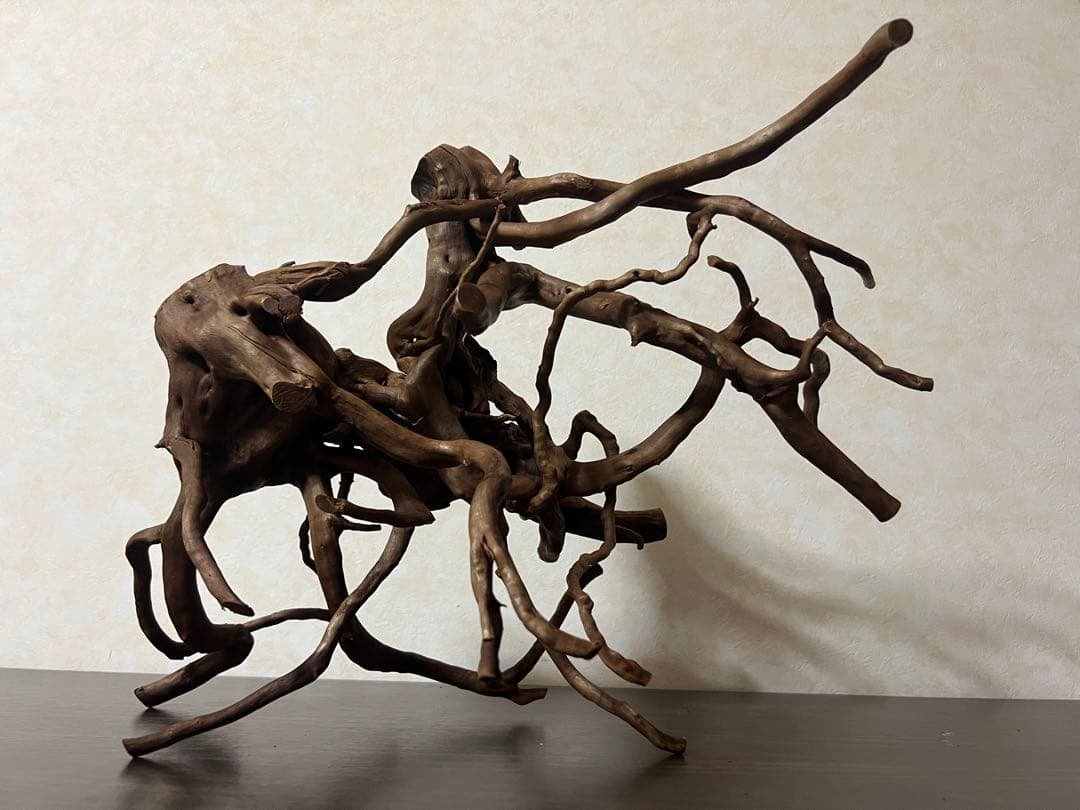 32205 ブランチウッド　流木　アクアリウム 沈水確認済