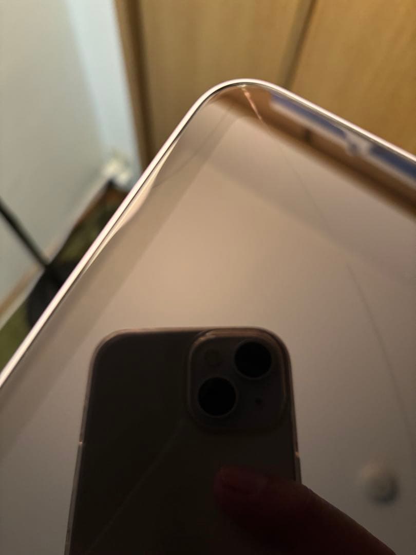 iPad mini7 (A17 Pro) Wi-Fi 512GB ジャンク品