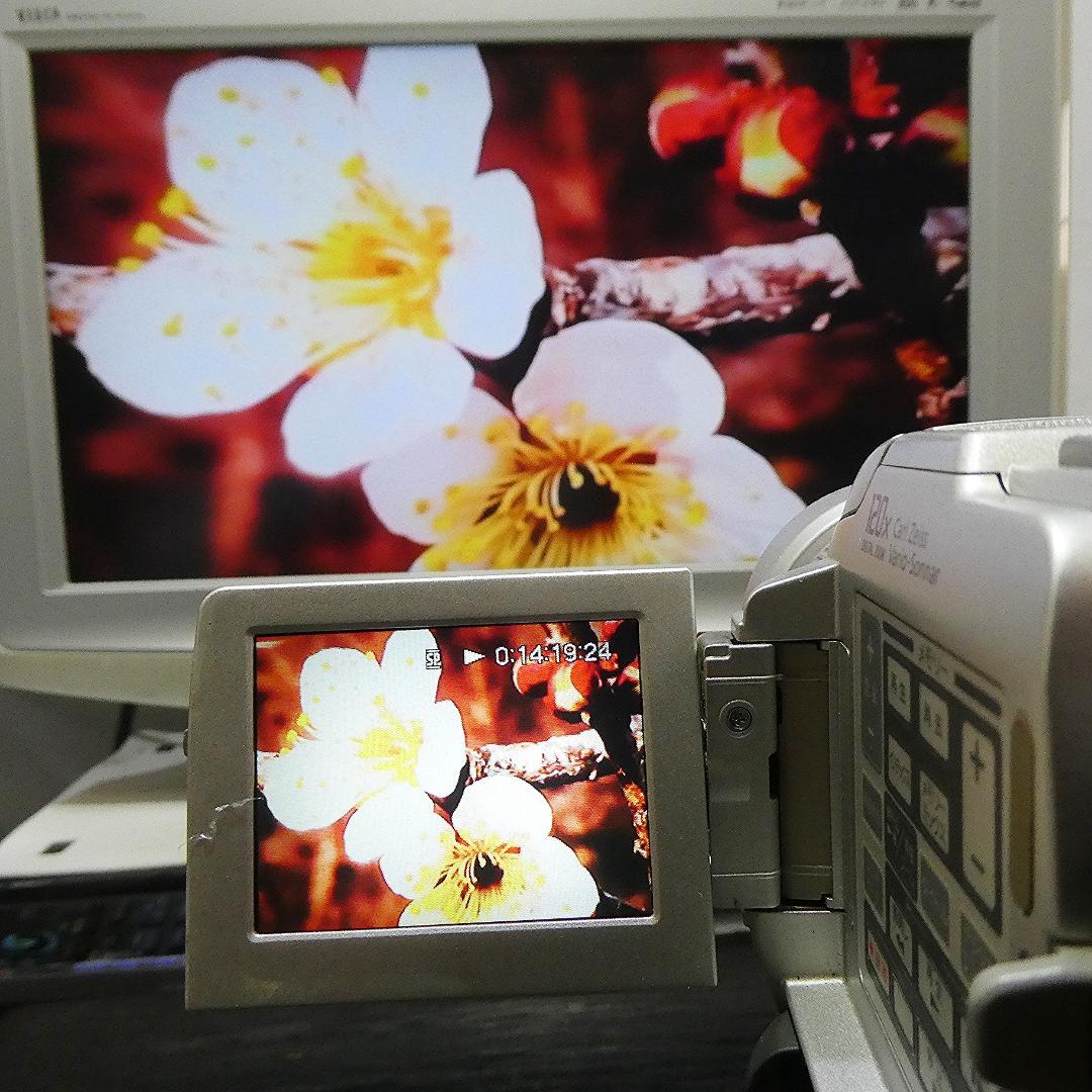 動作品 ソニーDCR-PC110 MiniDV ビデオカメラ DVDダビングに
