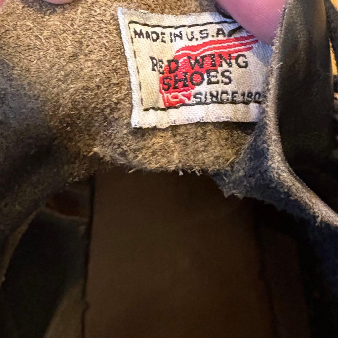 A*A様 RED WINGアイリッシュセッター