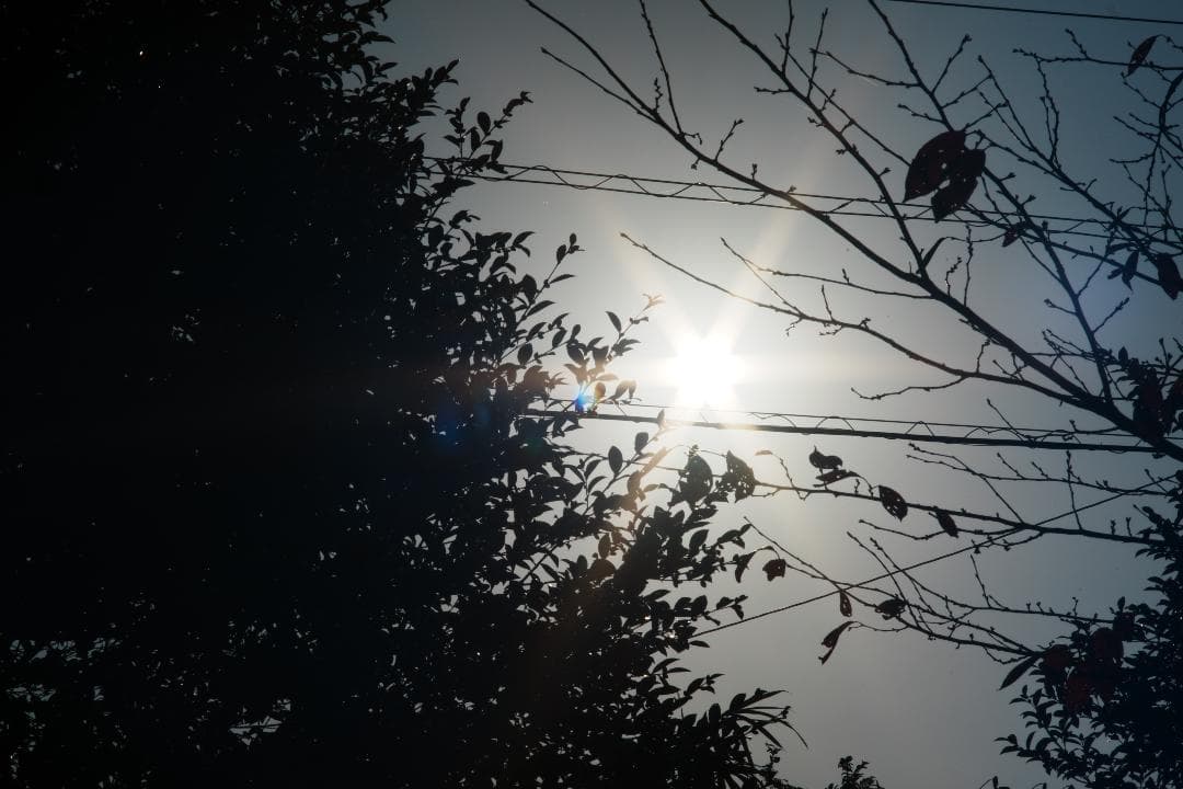 【整備＆テスト済】動作◎ Canon New FD 100mm F2.8 140