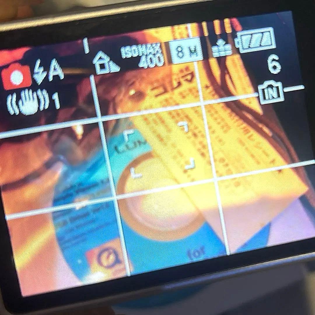 デジタルカメラ　LUMIX Panasonic DMC-ＦＸ55