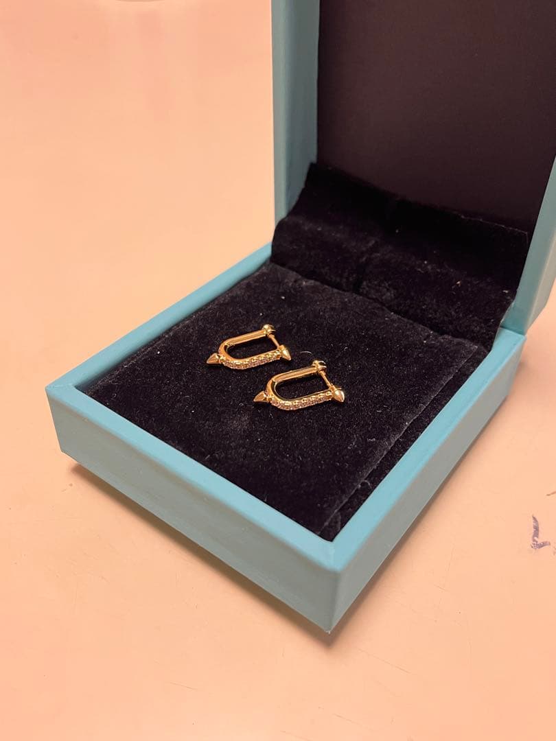 登坂広臣着用Tiffanyタイタンピアス