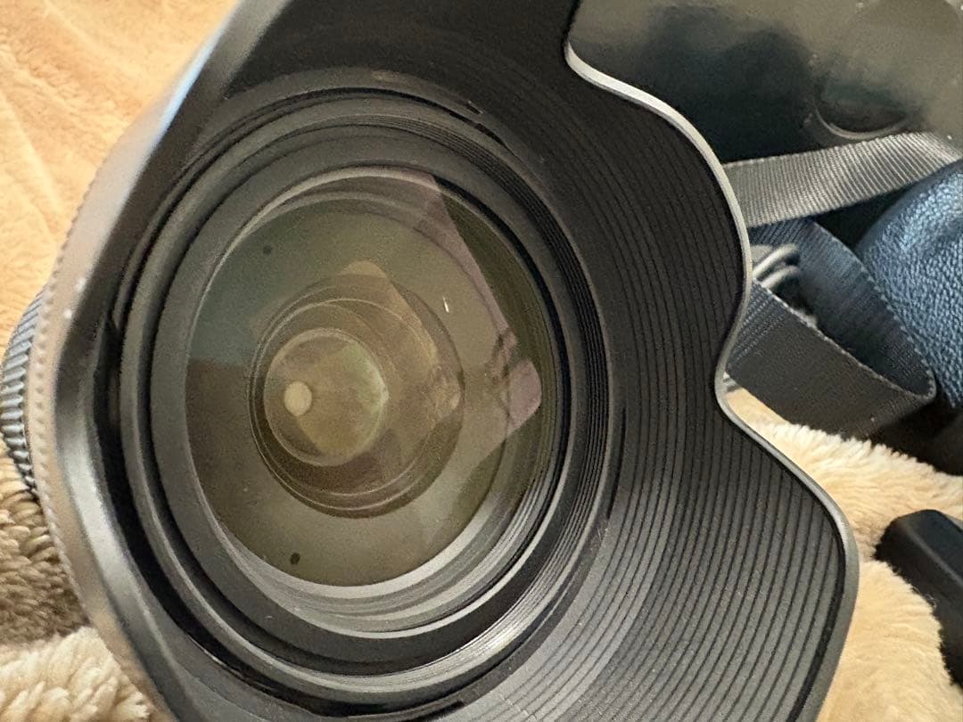 『早い者勝ち』SONY α7IVミラーレス レン ズおまけ