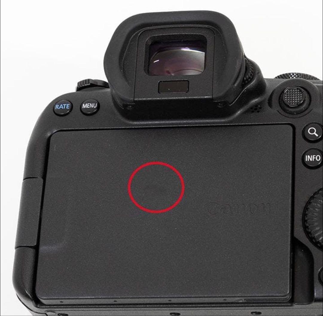 Canon EOS R6 「最後下げ」✨