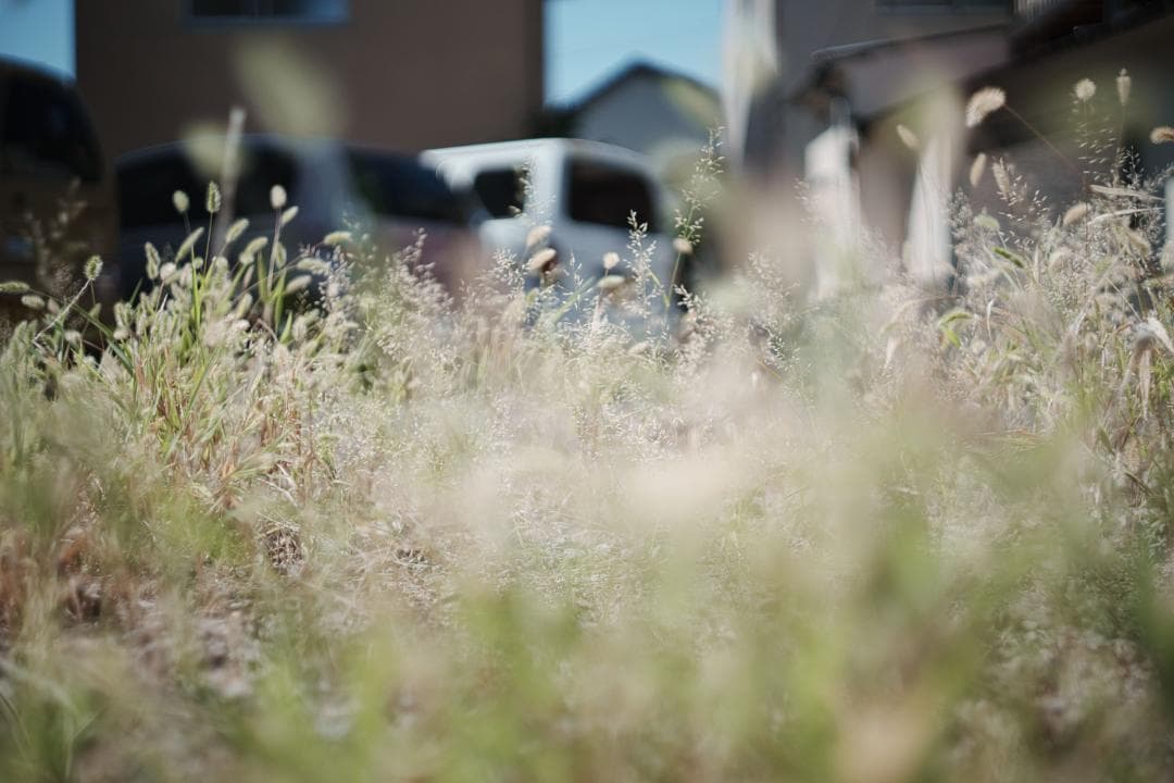 【レア】作例 NIKON NIKKOR-S Auto 1:2 f=5cm 9枚絞