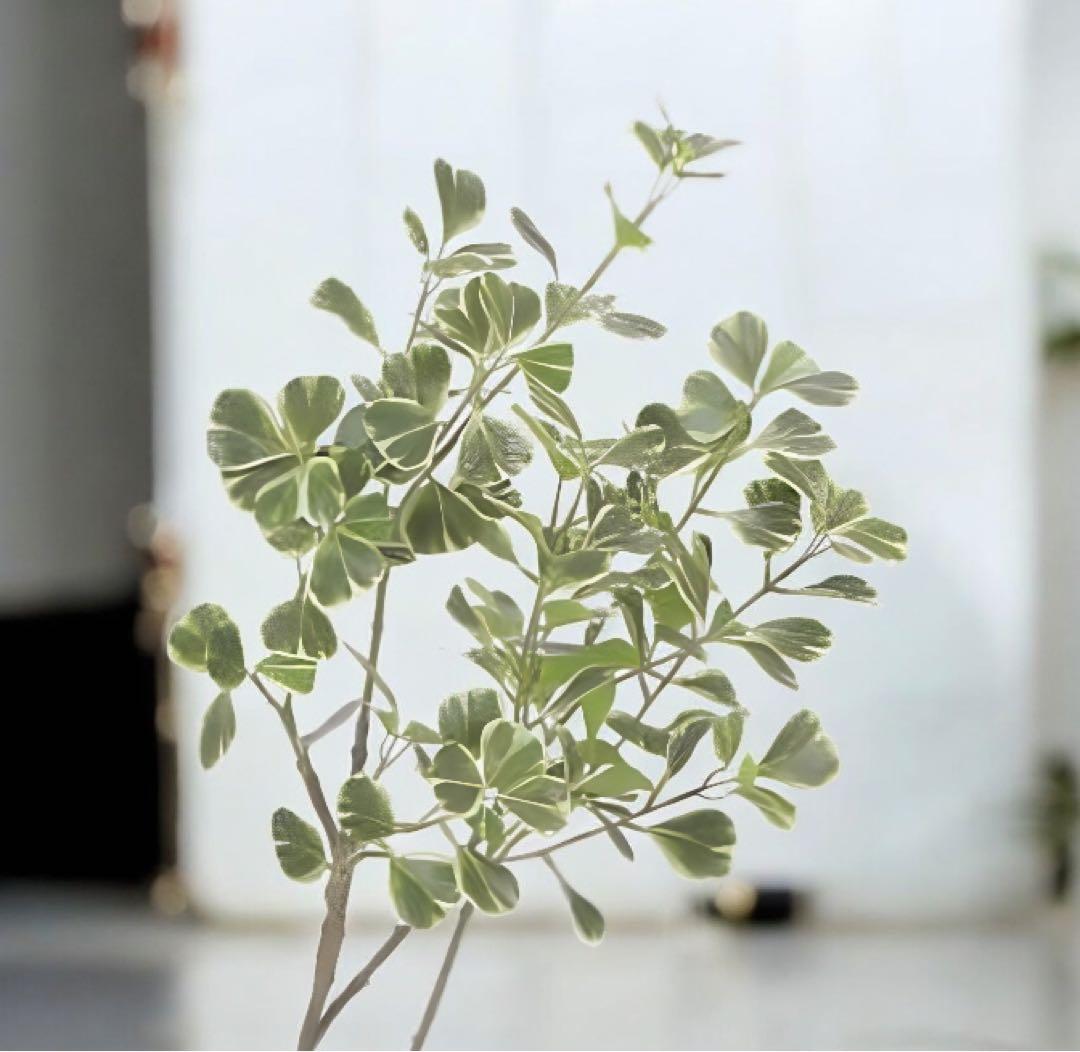 光触媒　人工観葉植物　ウォールグリーン　フェイクグリーン　フィカストライアングル