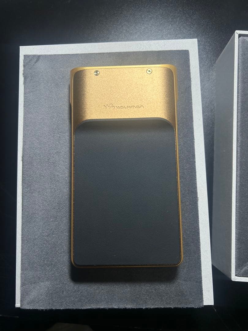 NW-WM1ZM2本体＋レザーケース