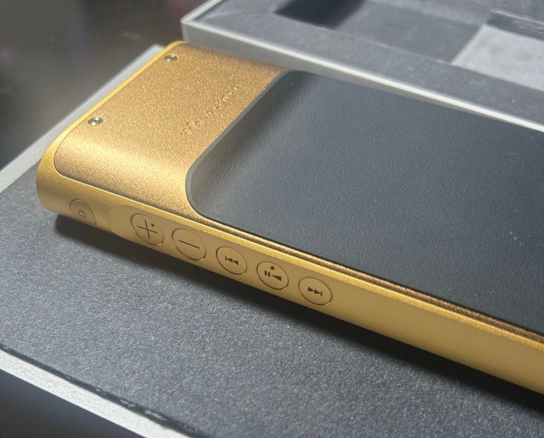 NW-WM1ZM2本体＋レザーケース