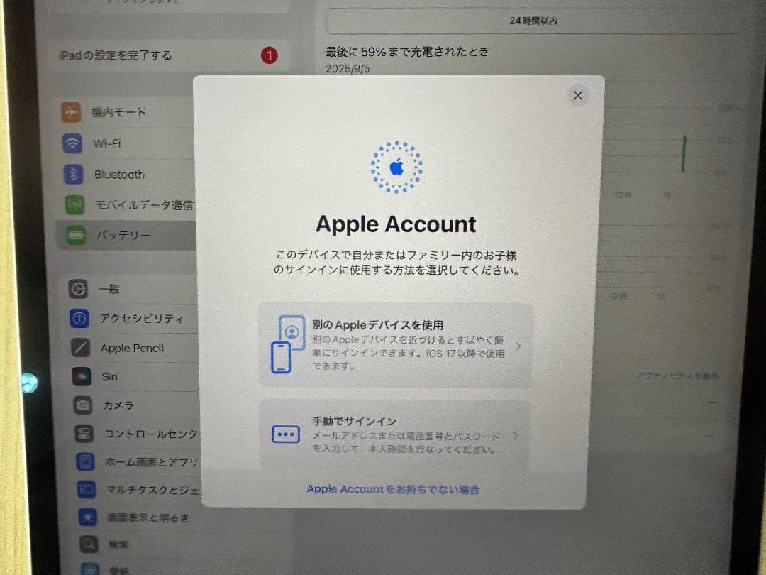 Apple iPad Pro (12.9インチ, 第4世代) 512GB ※12