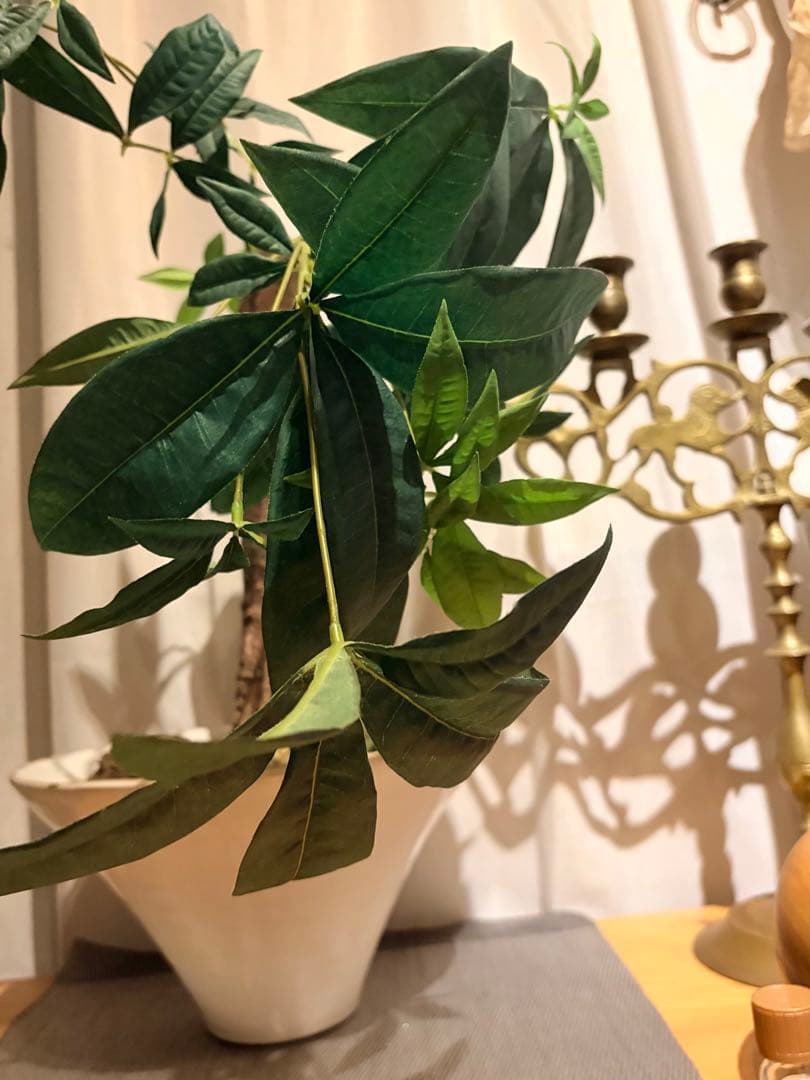 大作エミリオロバ仏製　リアルなパキラ　専門クリーニング済み