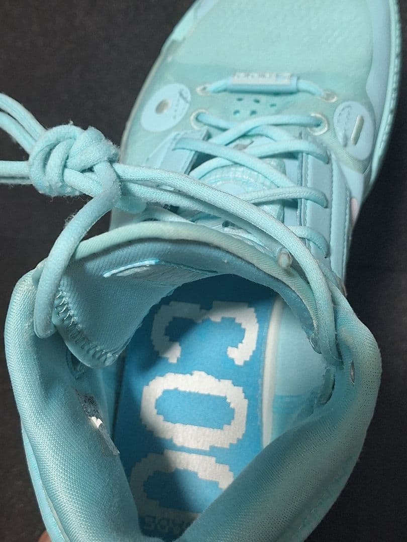 リーニン wayofwaed10 26.5箱あり