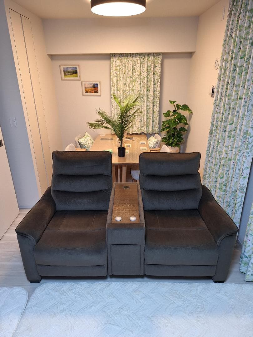 【美品・3ヶ月使用】ニトリ電動リクライニングソファ Nビリーバ3 収納付2人掛け