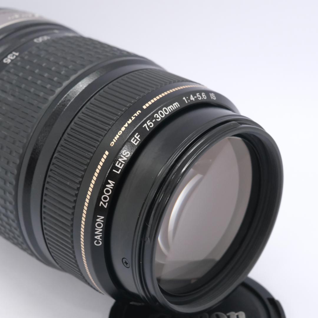 Canon EF 75-300mm IS USM 望遠レンズ 手ブレ補正