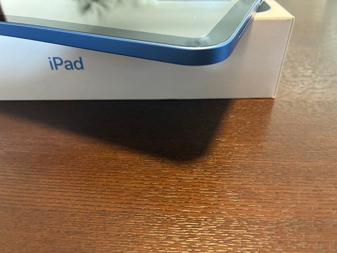 iPad 第10世代 64GB ブルー 水没ジャンク