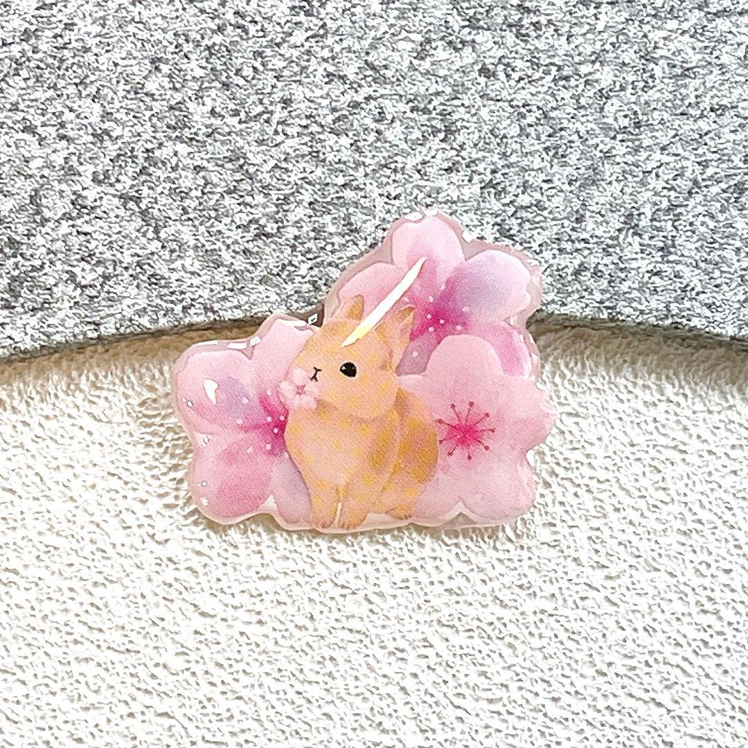 うさぎ　ネザーランドドワーフ　ミニうさぎ　ピンバッジ　桜　ブローチ　チャーム