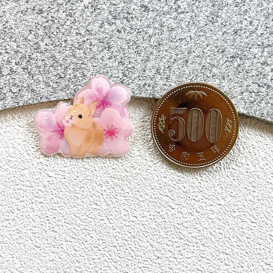うさぎ　ネザーランドドワーフ　ミニうさぎ　ピンバッジ　桜　ブローチ　チャーム