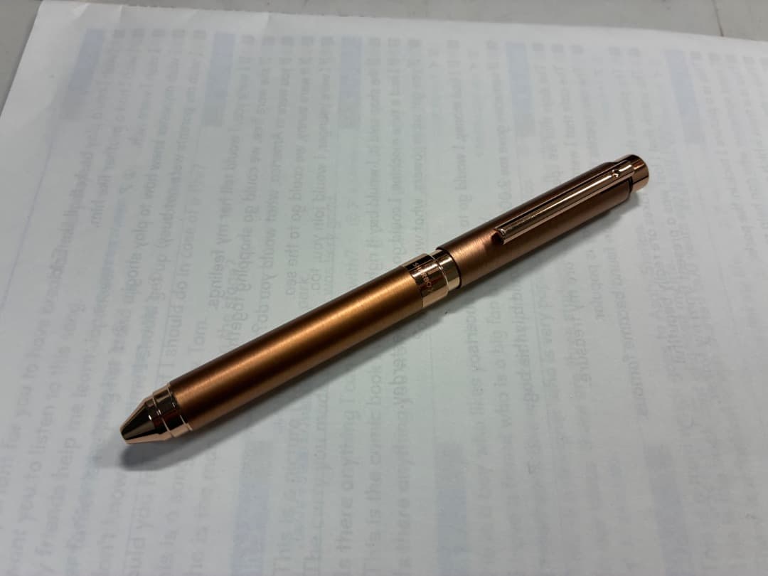 ゼブラシャーボx ts10 （限定）ブロンズウォーカー　野原工芸　こうぼうせつ