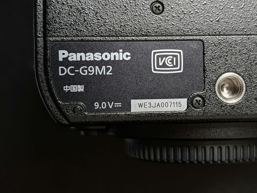 【週末OFF】【美品】LUMIX G9 Pro II 本体