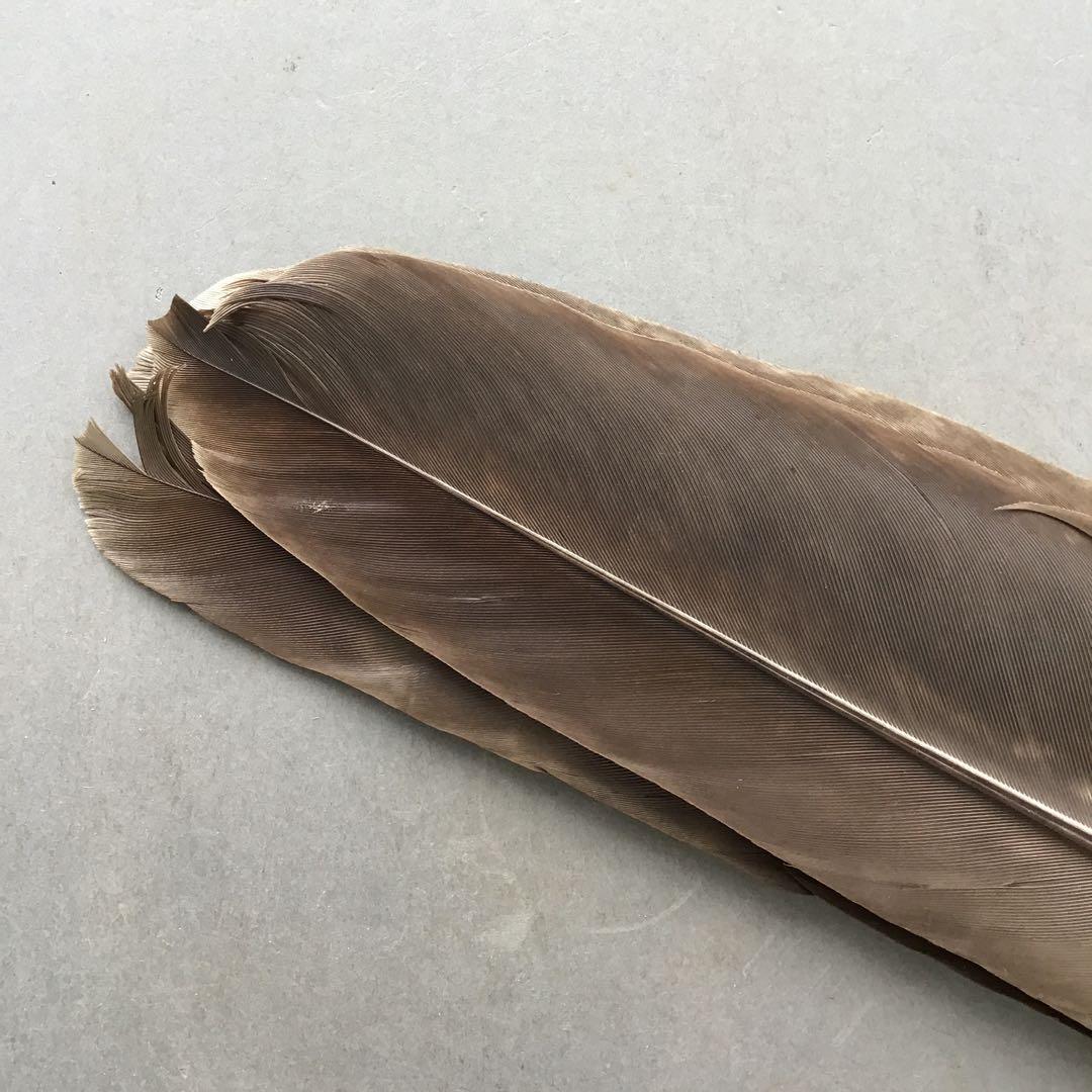 茶道具　羽箒　三ツ羽根(犬鷲一双)炉用•風炉用　紙箱　S28HB