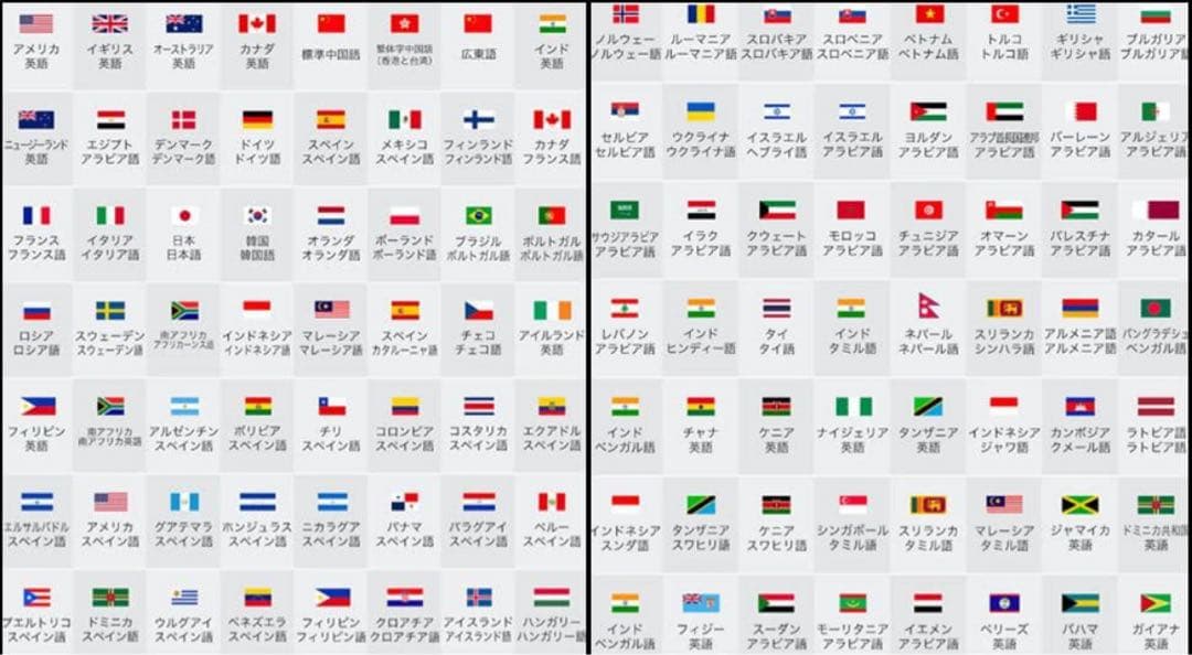 【値下げ可能】ボルモル X5 (VORMOR X5) ペン型スキャナー電子辞書