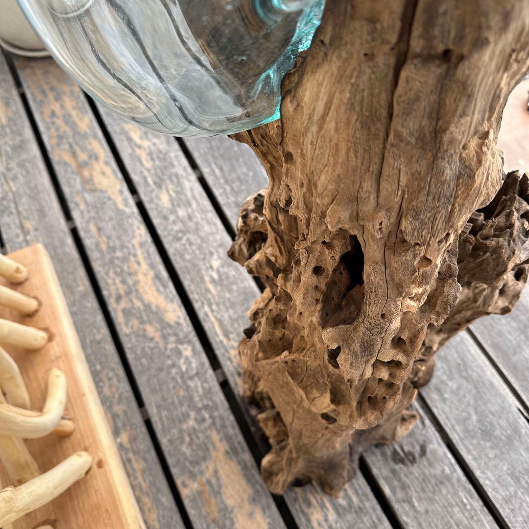 【送料無料】バリ島流木ガラスビッグサイズw30×d35×h102cmメダカ7-A