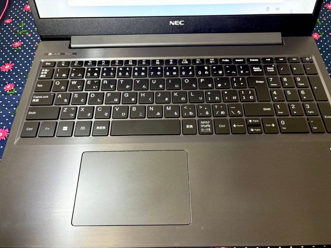 【匿名配送】NEC LAVIE Direct N15(S) ノートパソコン