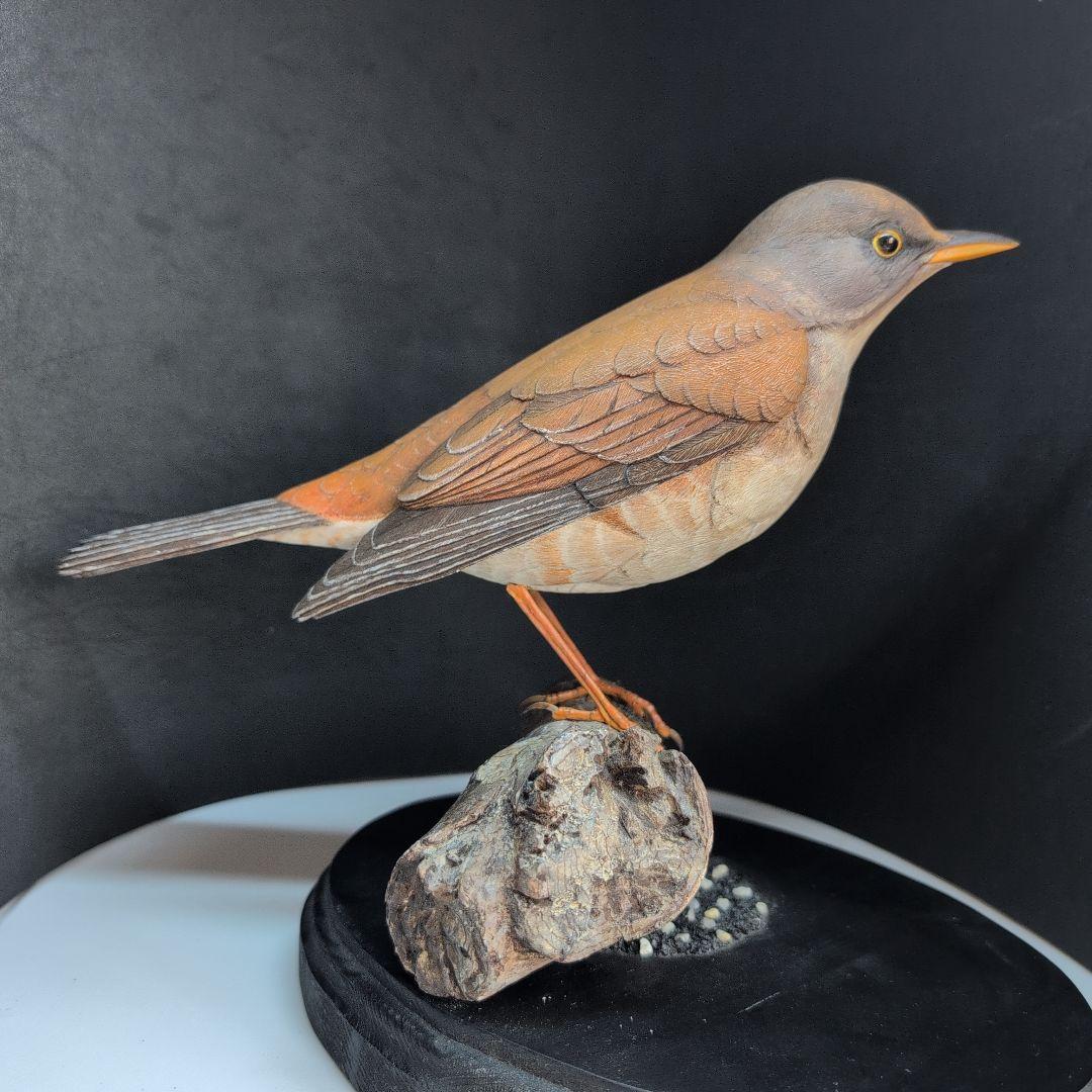 リアルな木製の野鳥　「シロハラ」野鳥彫刻バードカービング　木彫りの野鳥