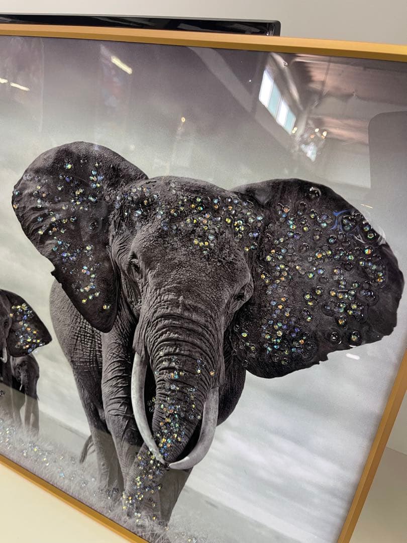 モノクロ象のフォトフレーム