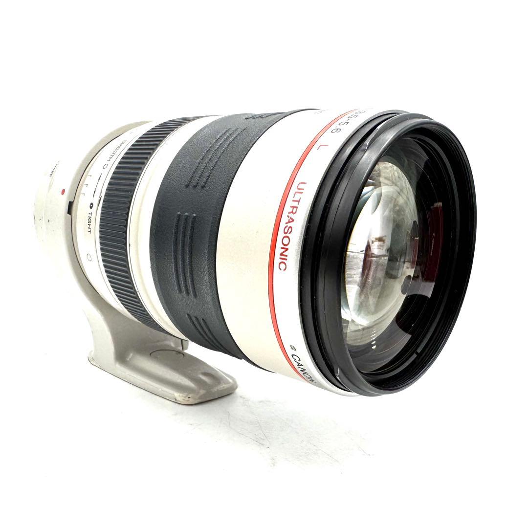 動作良好 Canon EF 35-350mm F3.5-5.6 L USM