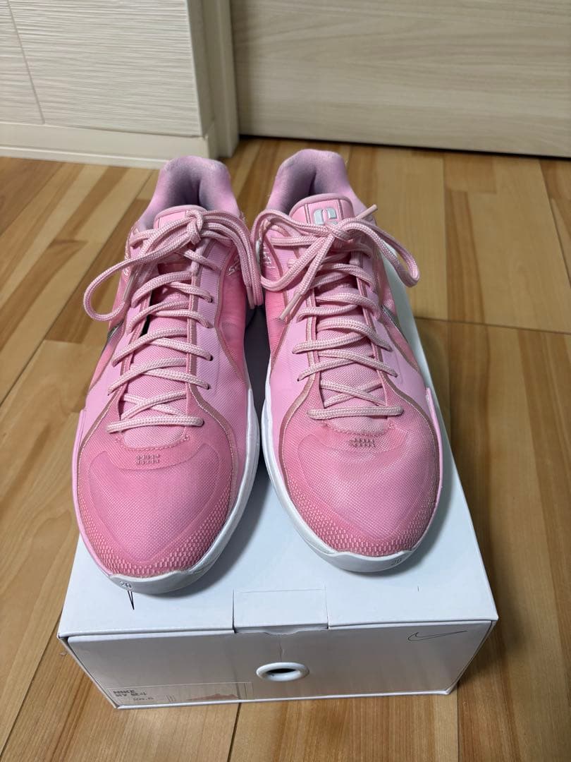 ナイキ サブリナ2