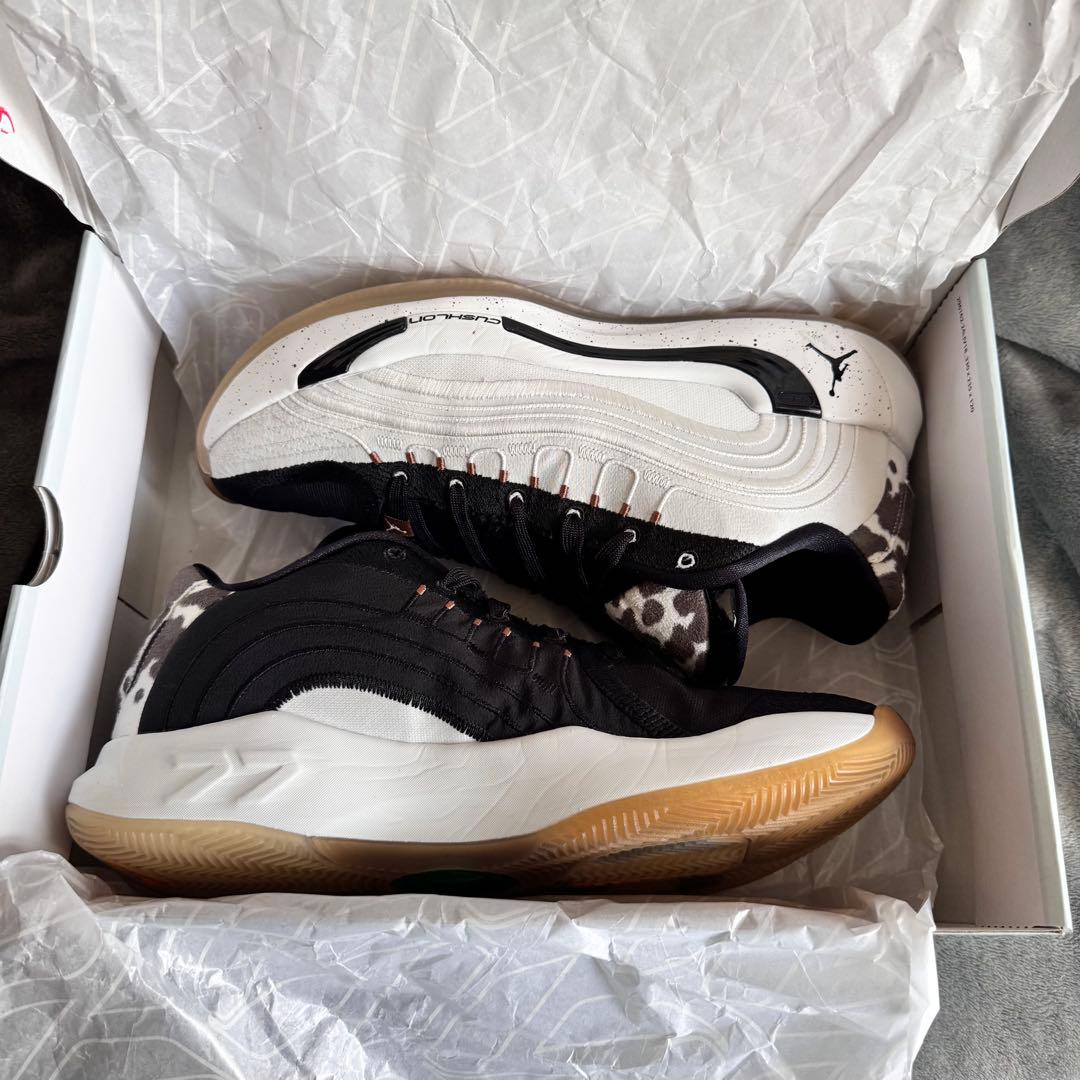 シューズ(男性用) JORDAN LUKA 4 GONE PF