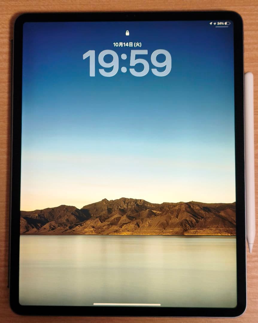 が*ん様 iPad Pro 12.9 第3世代 256GB + Apple Pe