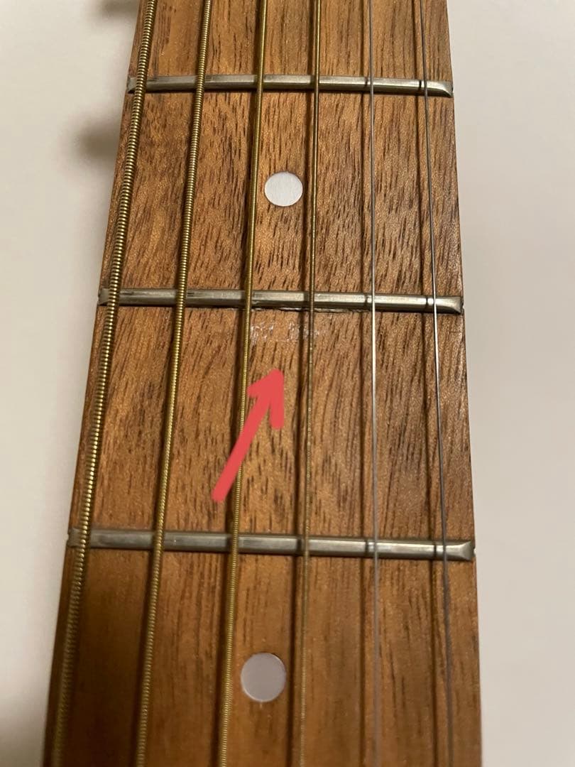 特典追加！Art & Lutherie gibsonストラップ付