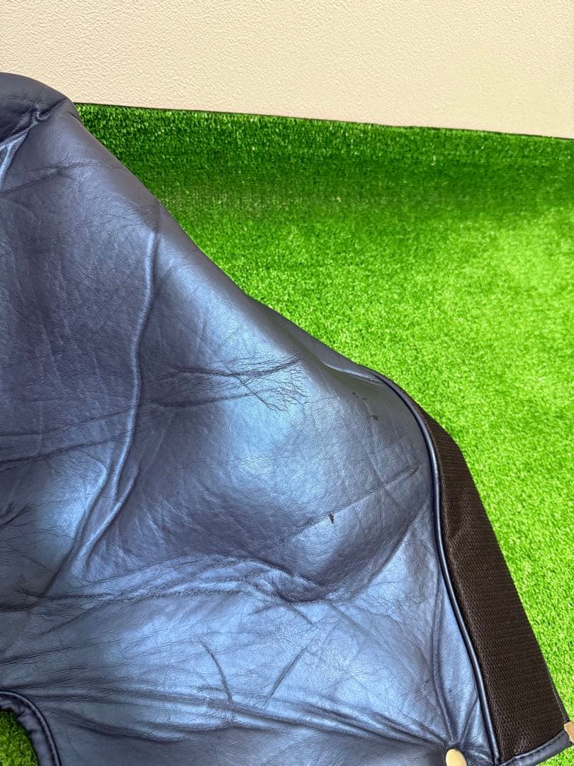 ゼクシオ ダイワ 初心者 メンズ ゴルフクラブセット フルセット 一式 セット