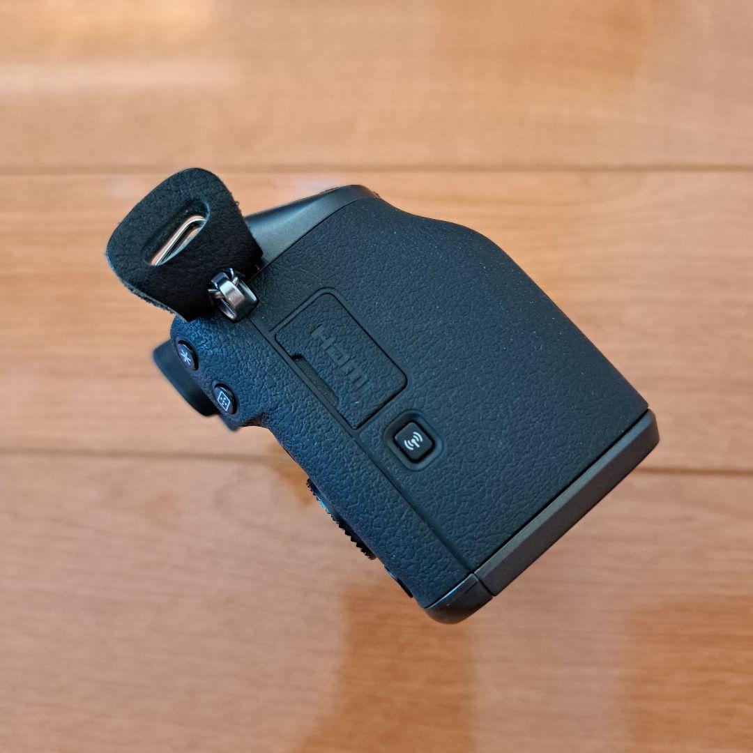 Canon EOS M5(本体、バッテリー、充電器、ストラップ)