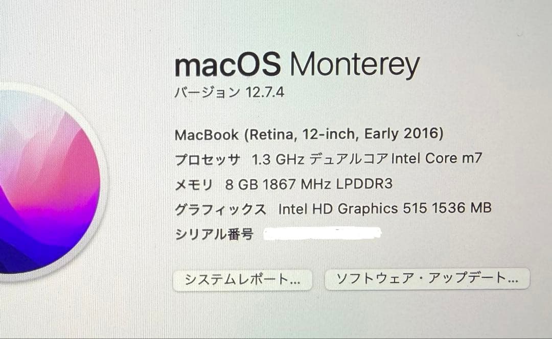 【美品】512GB ローズピンク MacBook A1534 12inch