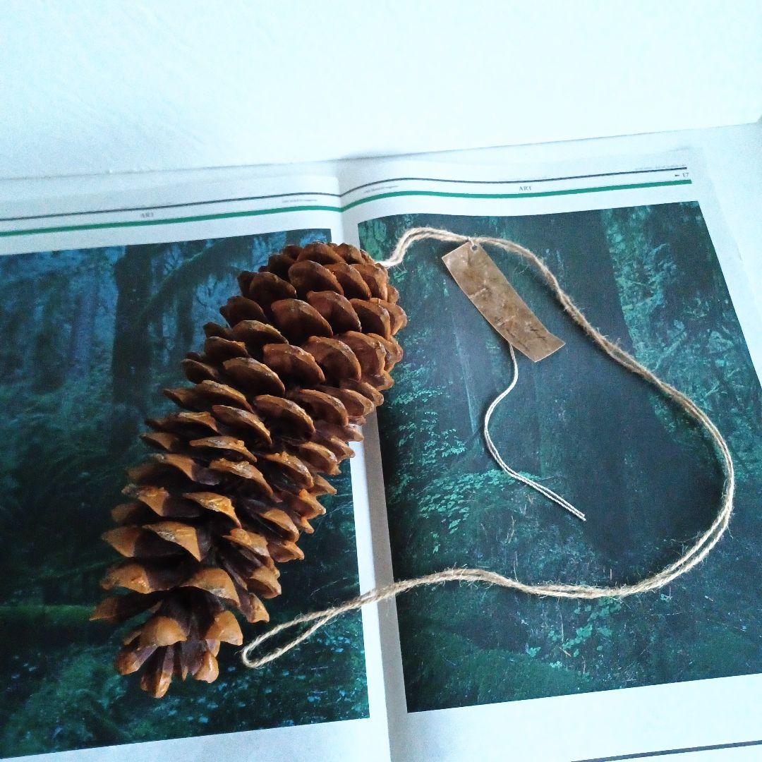 【魔女の棲む森～Pinus lambertiana～】ドライフラワー 松ぼっくり