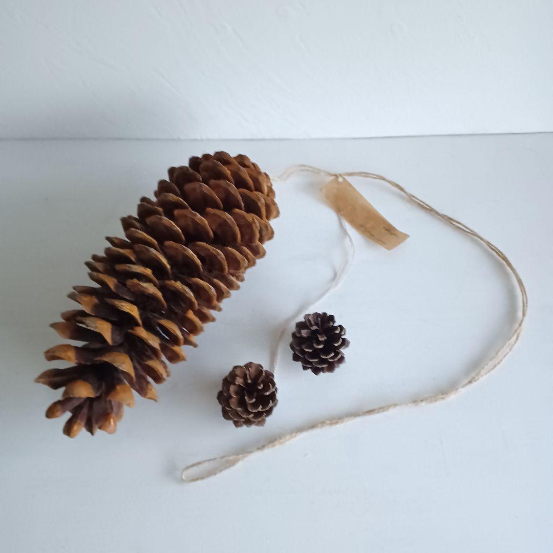 【魔女の棲む森～Pinus lambertiana～】ドライフラワー 松ぼっくり