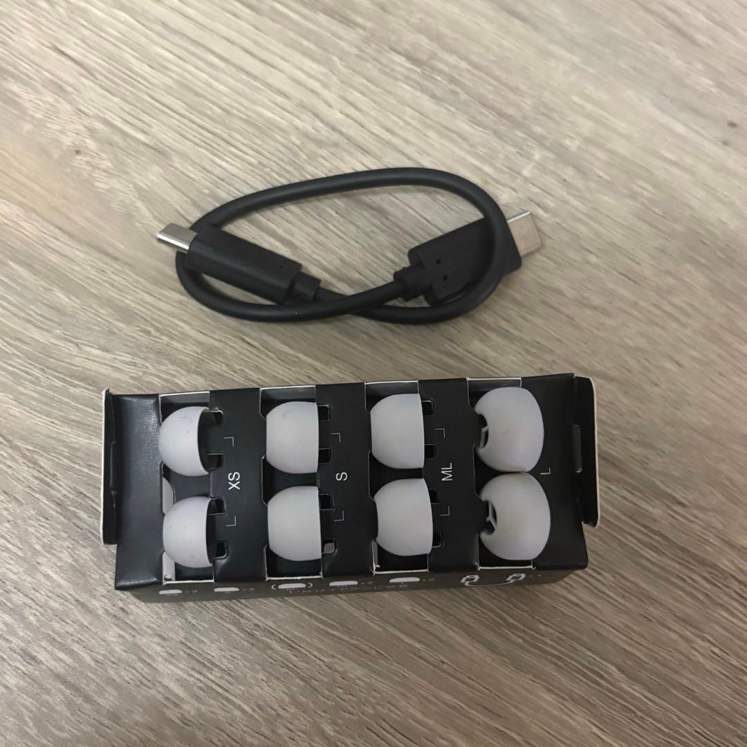 Technics EAH-AZ100 シルバー ノイズキャンセリング イヤホン