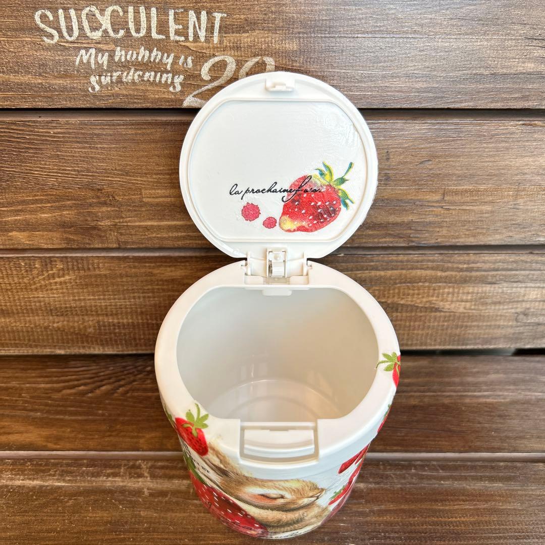 売切れ　リメイク　綿棒ケース　 大きな苺とおねむなうさぎさん