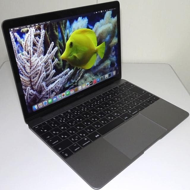 MacBook本体 MacBook 2017 i5/8GB/512GB_SPG